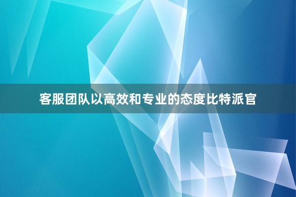 客服团队以高效和专业的态度比特派官