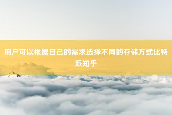 用户可以根据自己的需求选择不同的存储方式比特派知乎