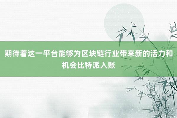 期待着这一平台能够为区块链行业带来新的活力和机会比特派入账