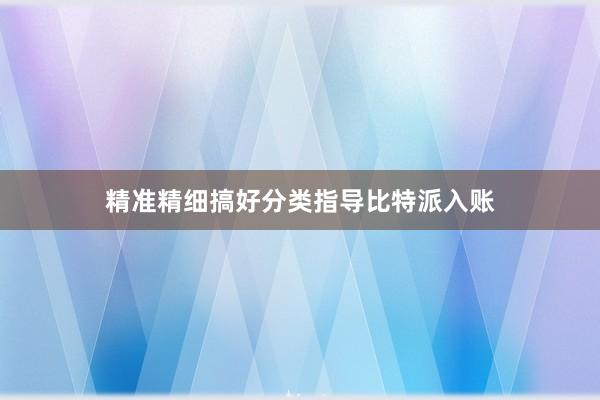 精准精细搞好分类指导比特派入账