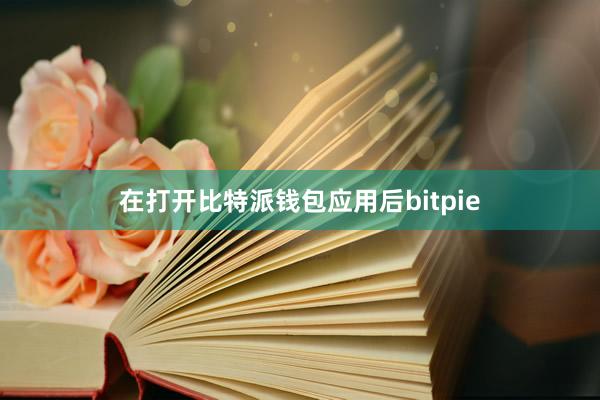 在打开比特派钱包应用后bitpie