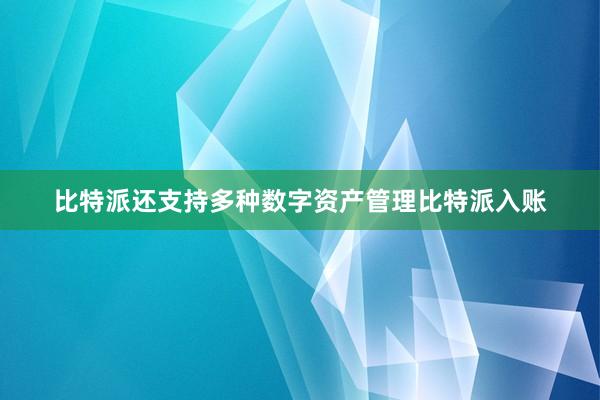 比特派还支持多种数字资产管理比特派入账