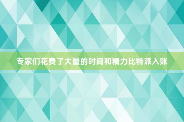 专家们花费了大量的时间和精力比特派入账