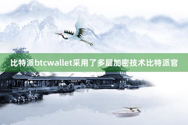 比特派btcwallet采用了多层加密技术比特派官