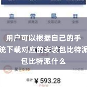 用户可以根据自己的手机系统下载对应的安装包比特派什么