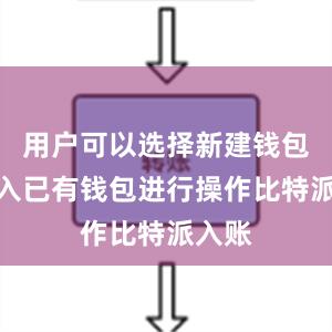 用户可以选择新建钱包或导入已有钱包进行操作比特派入账