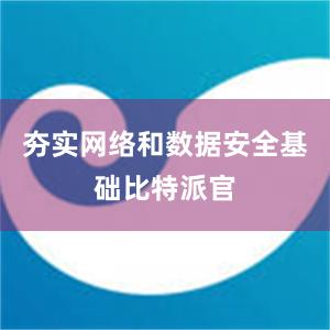 夯实网络和数据安全基础比特派官