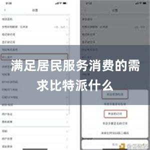 满足居民服务消费的需求比特派什么